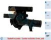 FAE 5350889 Thermostat, coolant